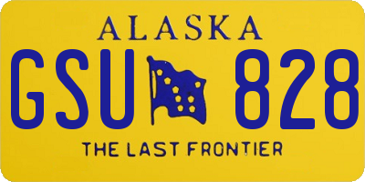 AK license plate GSU828