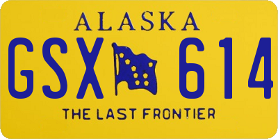 AK license plate GSX614