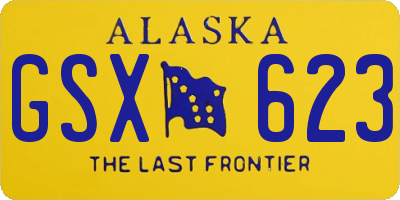 AK license plate GSX623