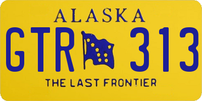 AK license plate GTR313