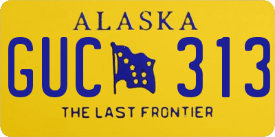 AK license plate GUC313