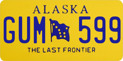 AK license plate GUM599