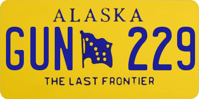 AK license plate GUN229