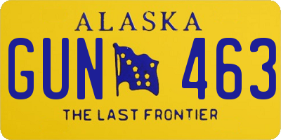 AK license plate GUN463