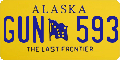 AK license plate GUN593