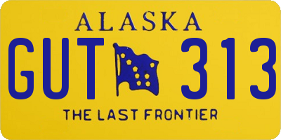 AK license plate GUT313