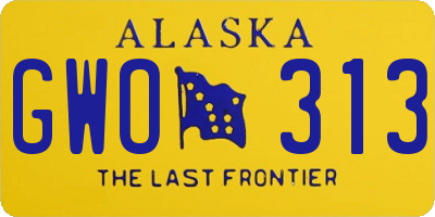 AK license plate GWO313