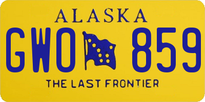 AK license plate GWO859