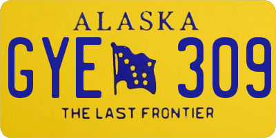 AK license plate GYE309