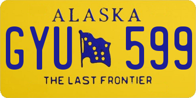AK license plate GYU599