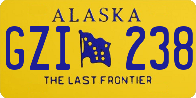 AK license plate GZI238