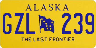 AK license plate GZL239