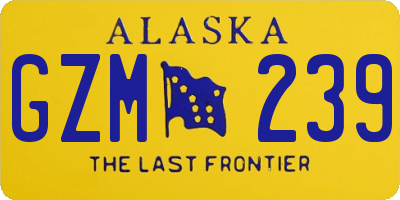 AK license plate GZM239