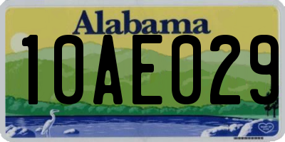 AL license plate 10AE029