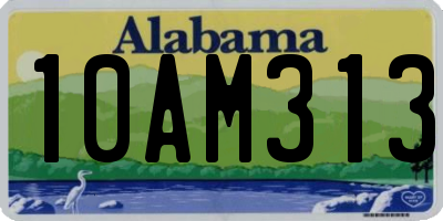 AL license plate 10AM313