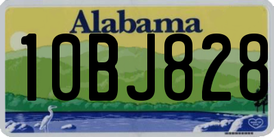 AL license plate 10BJ828
