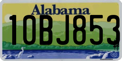 AL license plate 10BJ853