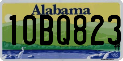 AL license plate 10BQ823