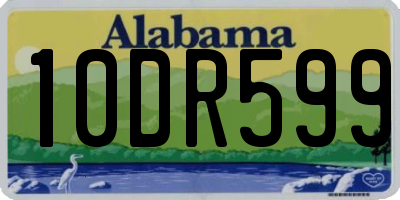 AL license plate 10DR599