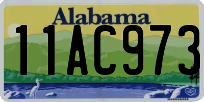AL license plate 11AC973