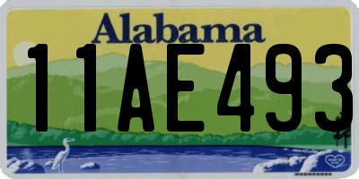 AL license plate 11AE493