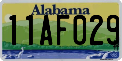 AL license plate 11AF029