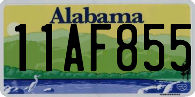 AL license plate 11AF855