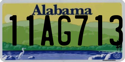 AL license plate 11AG713