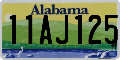 AL license plate 11AJ125