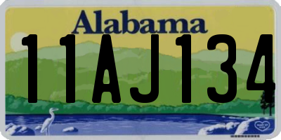 AL license plate 11AJ134