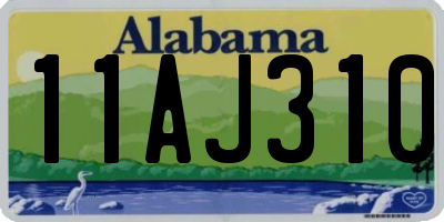 AL license plate 11AJ310
