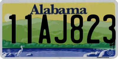 AL license plate 11AJ823