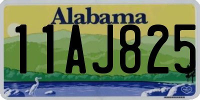 AL license plate 11AJ825