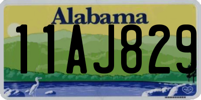 AL license plate 11AJ829