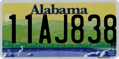 AL license plate 11AJ838