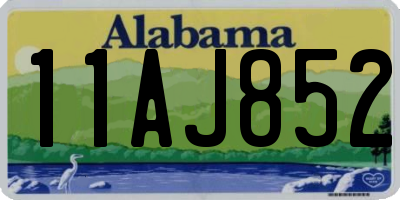 AL license plate 11AJ852