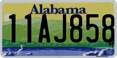 AL license plate 11AJ858