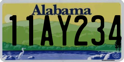 AL license plate 11AY234