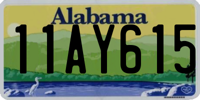 AL license plate 11AY615
