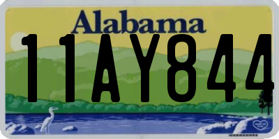 AL license plate 11AY844