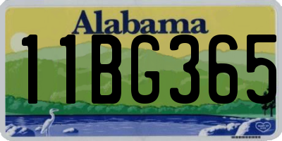 AL license plate 11BG365