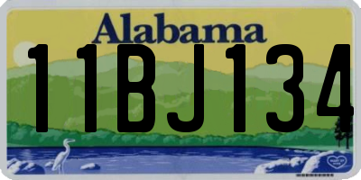 AL license plate 11BJ134