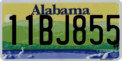 AL license plate 11BJ855