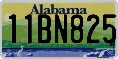 AL license plate 11BN825