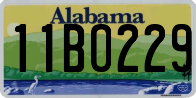 AL license plate 11BO229