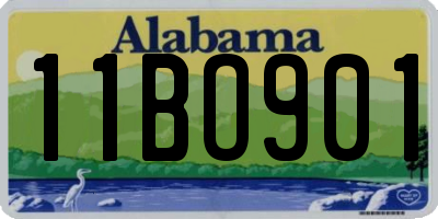 AL license plate 11BO901