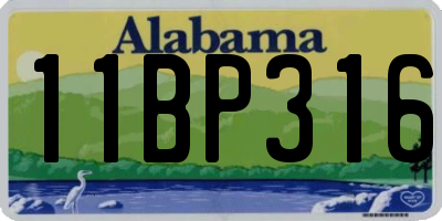 AL license plate 11BP316