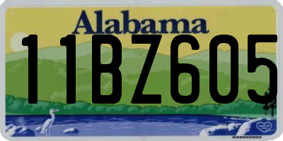 AL license plate 11BZ605