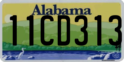 AL license plate 11CD313