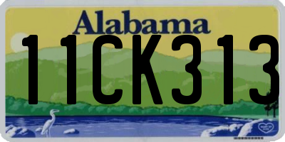 AL license plate 11CK313